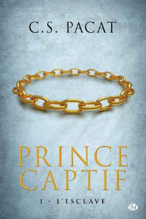 L'Esclave: Prince Captif, T1 (ROMANS) (French Edition)