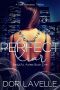 Perfect Liar · A Dark Romance Thriller (Beautiful Ashes Book 1)