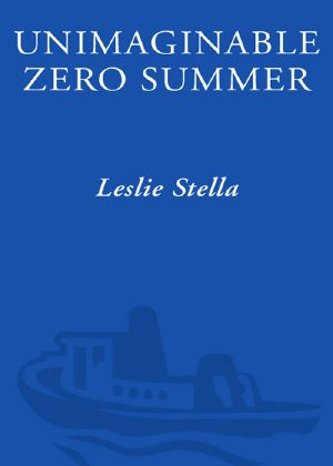 Unimaginable Zero Summer