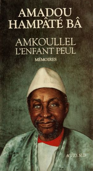 Amkoullel, L'Enfant Peul