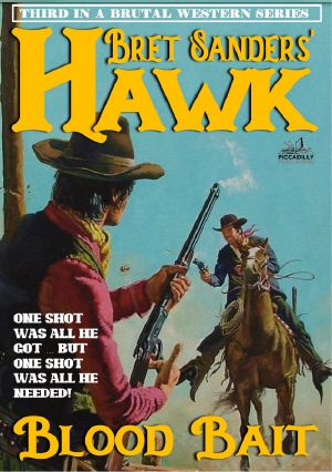 Bret Sanders's Hawk 3