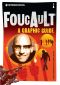 Introducing Foucault