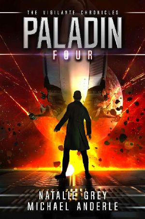 Paladin (The Vigilante Chronicles Book 4)