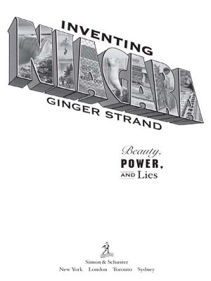 Inventing Niagara · Beauty, Power, and Lies