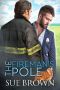 The Fireman's Pole: a small town/opposites attract/gay romance story