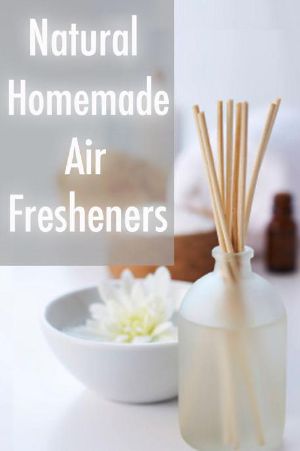 Natural Homemade Air Fresheners ·The Ultimate Guide