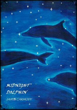 Midnight Dolphin