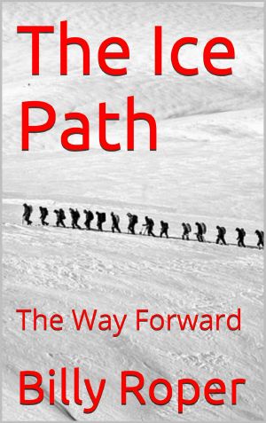 The Ice Path · A Way Forward