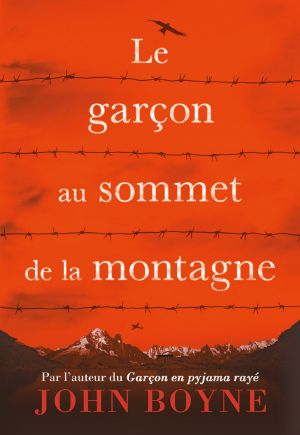 Le Garçon Au Sommet De La Montagne