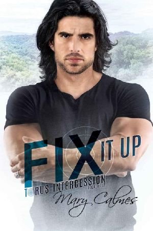 Fix It Up · Torus Intercession Book Three