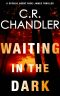 WAITING IN THE DARK (Special Agent Ricki James Book 4)