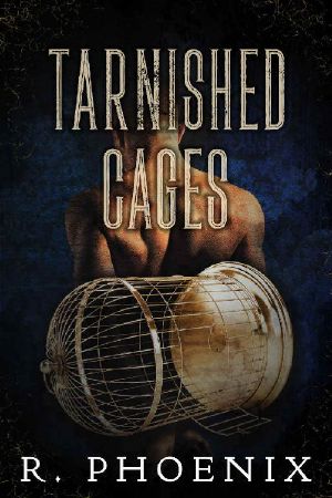 Tarnished Cages · Sequel to Gilded Cages