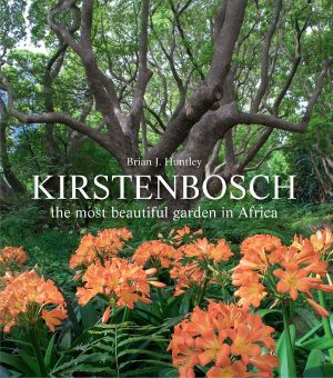 Kirstenbosch