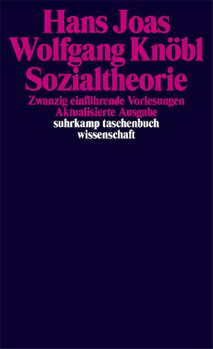 Sozialtheorie · zwanzig einführende Lesungen