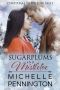 Sugarplums and Mistletoe (Christmas in Willow Falls Book 2)