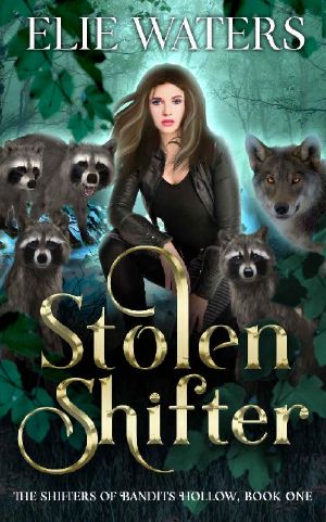 Stolen Shifter (The Shifters of Bandits Hollow Book 1)