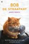 Bob de straatkat