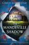 The Mandeville Shadow: Totally heartbreaking and unputdownable timeslip historical fiction (A Mandeville Mystery Book 3)