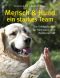 Mensch und Hund · ein starkes Team