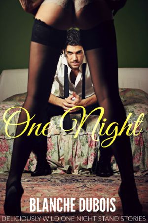 One Night · Deliciously Wild One Night Stand Stories