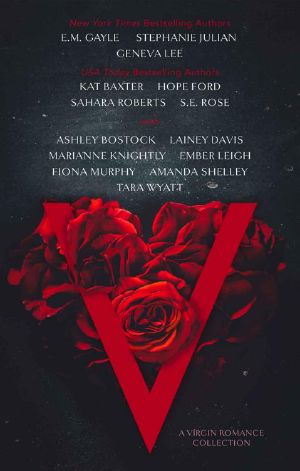 V · A Virgin Romance Collection