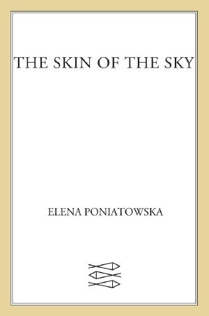 The Skin of the Sky