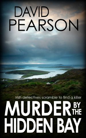 MURDER BY THE HIDDEN BAY: Irish detectives scramble to find a killer (The Galway Homicides Book 13)