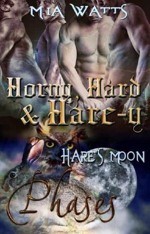 Horny, Hard and Hare-Y (Phases)