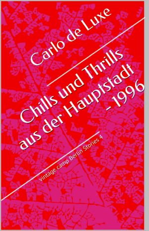 Chills und Thrills aus der Hauptstadt - 1996 (vintage camp Berlin Stories 4) (German Edition)