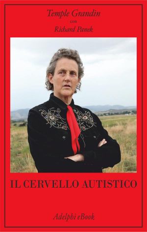 Il Cervello Autistico