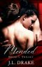 Mended - Anniversary Edition (Broken Trilogy Book 6)