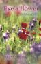 Like a Flower · my years of yoga with Vanda Scaravelli