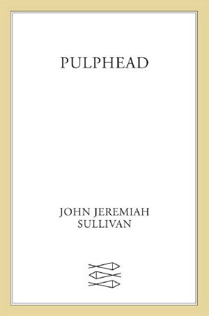 Pulphead · Essays