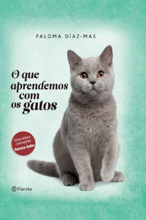 O Que Aprendemos Com Os Gatos