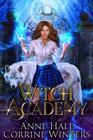 Witch Academy: A Slow Burn Academy Romance