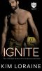 Ignite · an Everyday Heroes World Novel (The Everyday Heroes World)