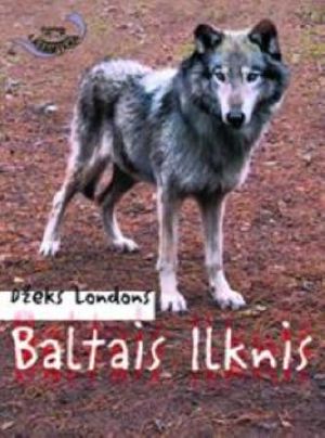 Baltais Ilknis