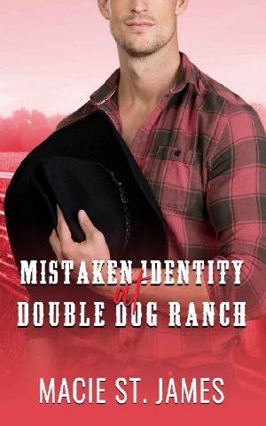 Mistaken Identity at Double Dog Ranch · A Clean Contemporary Western Romance