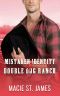 Mistaken Identity at Double Dog Ranch · A Clean Contemporary Western Romance