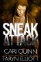 Sneak Attack: MMA Romantic Suspense