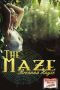 The Maze