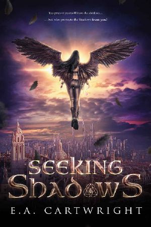 Seeking Shadows (The Chronicles of the Balance Book 1)