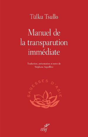 Manuel de la transparution immédiate