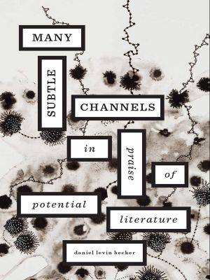 Many Subtle Channels · in Praise of Potential Literature (9780674069626)