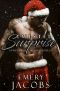 Twisted Surprise (Twisted Fate Book 2)