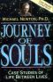 Journey of Souls · Case Studies of Life Between Lives