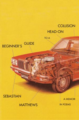 Beginner's Guide to a Head-On Collision