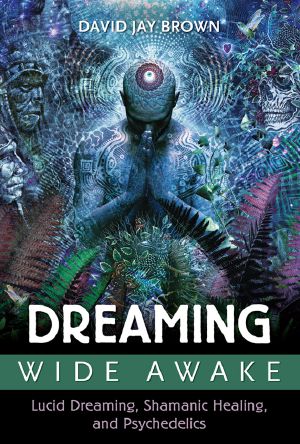 Dreaming Wide Awake