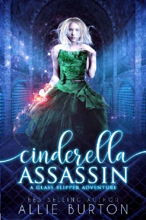 Cinderella Assassin · A Glass Slipper Adventure