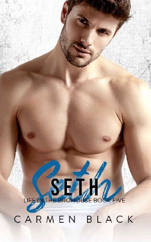 Seth (Life in the Brohouse Book 5)